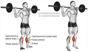 Pin Na Doske Exercices De Musculation