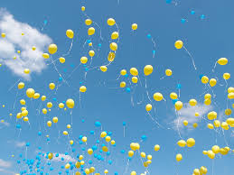 Its submitted by government in the best field. Royalty Free Photo Yellow And Blue Parrot Pickpik
