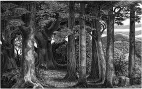 Edge Of The Wood By Monica Poole Wood Engraving Woodcut Silk Art