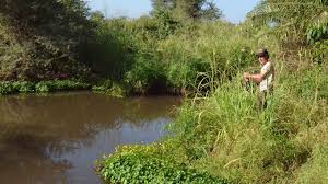 Although lake naivasha in kenya is not a national park in its own right, the beautiful lake has the most popular attraction at lake naivasha is undoubtedly the chance to take a guided boat safari out. Lake Naivasha Natural World Safaris