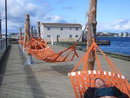 These bright orange nets at. Loved The Hammocks And The Waterfront Views Izobrazhenie Halifax Waterfront Boardwalk Galifaks Tripadvisor