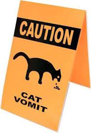 Cat Food Breath On Twitter Hipster Cat I Love Cats Crazy Cats