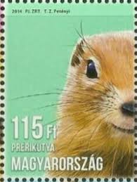 Image result for Cynomys ludovicianus obrázek