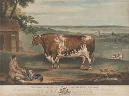 These Livestock Portraits Were The Ultimate Displays Of Wealth In 19th Century Britain Sheep Paintings Painting Animal Paintings