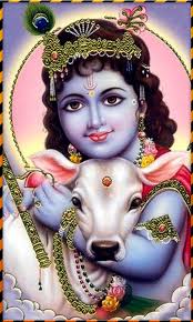 50 players jump from a plane with a parachute. Sri Krishna God Live Wallpaper For Android Download
