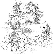 Print online or download for free! Free Coloring Pages For Adults Flowers Coloring Home