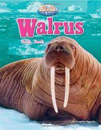 Tusks of the guarded word. Walrus Tusk Tusk Built For The Cold Arctic Animals Amazon De Person Stephen Fremdsprachige Bucher