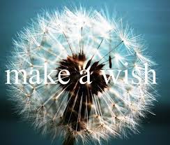 A wish for you by otomeran. On Imgfave Dandelion Wish Flower Make A Wish