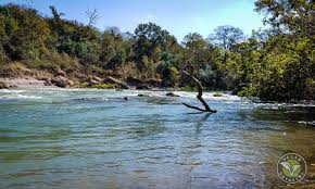 Recreational vehicle camping in tx listings fot the hill country and praries and lakes for motorhomes and travel trailers. Pecan Park Riverside Rv Park Texas Vegan Voyagers