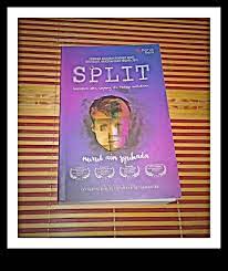 Resensi novel 11 01 2011 12 01 2011. Sukacita Membaca Pertembungan Personaliti Dalam Novel Split Nurul Ain Syuhada