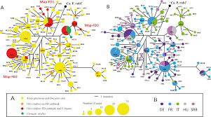 Pest plants, pest animals or plant diseases. When A Palearctic Bacterium Meets A Nearctic Insect Vector Genetic And Ecological Insights Into The Emergence Of The Grapevine Flavescence Doree Epidemics In Europe