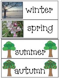 The 4 Seasons Of My Apple Tree Apple Activities Apple