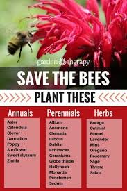 Here Are Some Of The Many Varieties Of Flowering Plants That Bees Love It S Better To Plant A Number Of The Same Bee Friendly Garden Bees Plants Bee Friendly