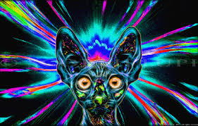 S To The I To The M To The P Gif Https Encrypted Tbn0 Gstatic Com Images Q Tbn 3aand9gcsgk3h62cf6vrmvx2rxgyenjkejtgbz0ztyuq Usqp Cau