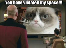 Funny Star Trek Star Trek Funny Grumpy Cat Grumpy Cat Humor
