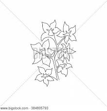Single Continuous Vector Photo Free Trial Bigstock Learn how you can draw different flowers step by step. single continuous vector photo free