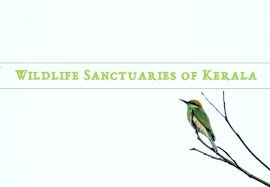 Wildlife Sanctuaries Of Kerala Psc Arivukal This wildlife sanctuary in kerala is famous for housing some of the rarest species of birds which might have gone extinct, if not for this safe haven. wildlife sanctuaries of kerala psc