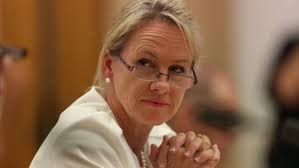 Senator Fiona Nash slams Bill Shorten's 'pre-historic' comments