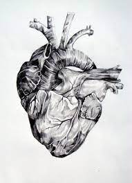 Atomic heart tattoo wiki tattoo. A Self Portrait By Katie Rose Clausen Heart Drawing Heart Art Human Heart Drawing