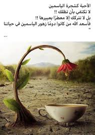 Sign In Beautiful Nature Arabic Poetry Flower Art