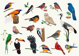 Why don't you let us know. Bird Images Free Vectors Stock Photos Psd