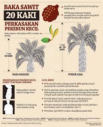 Malaysia adalah produsen minyak sawit terbesar kedua di dunia, bersama dengan indonesia, 2 negara ini mendominasi perdagangan global, dengan mampu memproduksi 85 persen dari pasokan 65 miliar dollar as. Bernama Tv Infografik Baka Sawit 20 Kaki Perkasakan Facebook