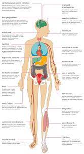 Adhd (attention deficit hyperactivity disorder) is defined as a persistent inability to maintain age appropriate concentration, attention and/or activity levels. The Effects Of Adderall On Your Body