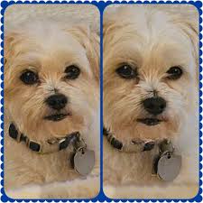 My baby boy loves listening to me singing Eva Cassidy x