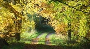 Pfad Der Hexen Hexentum Wicca Magie Magie Rituale Zauber Rezepte Wicca Hexentum Hexenkult Hexerei Zauberspruche Magie Hexerei