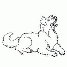 Our tri colored female mini aussie's mother actually had heterochromia, but she ended up with two brown eyes. Australian Shepherd Coloring Page Coloring Pages Dog Coloring Page Australian Shepherd