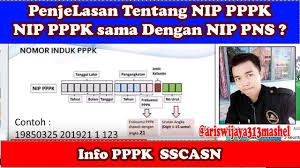 Usul penetapan nomor induk pegawai (nip): Penjelasan Tentang Nip Pppk Apakah Sama Dengan Nip Pns Youtube
