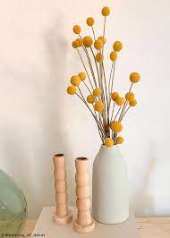 Maybe you would like to learn more about one of these? Pack Of 10 Dried Billy Buttons Craspedia In Natural Yellow Dried Flower Arrangements Dried Flowers Billy Buttons