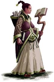 Image Result For Dnd Librarian Female Character Concept Fantasy Books Magic Female Human