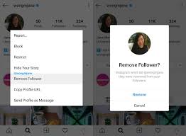 No password is required, keeping your instagram profile information safe and secure. Instagram Streamline Removing Followers Digital Information World