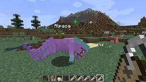 Place the mod you have just downloaded (.jar file) into the mods folder. The Hackshop The Hippocamp