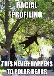 Racial Profiling This Never Happens To Polar Bears I Am A Falling Bear Quickmeme