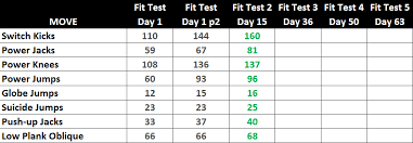 Insanity Workout Week 2 Summary Illness 2nd Fit Test