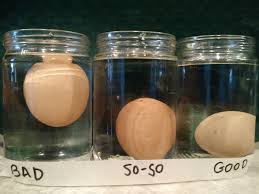 simply living: how to tell good eggs