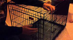 Crate training is not always a negative experience for dogs. Breaking Down The Dog Crate 101 For Grandpa Youtube