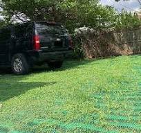 Grass Driveway Grid