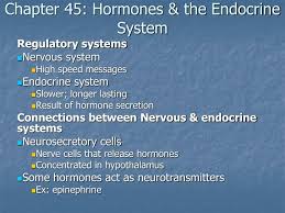 Ppt Chapter 45 Hormones The Endocrine System Powerpoint Presentation Id 6828319