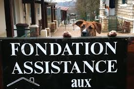 Rapproche des associations refuge pour animaux. Seine Et Marne Le Refuge De Villevaude Compte Plus D Adoptions D Animaux La Marne