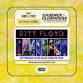 Pitt Floyd Live