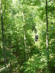 Elegantly rustic wilderness resort located adjacent hanging rock state park, and short drive to iconic pilot mountain state park, north carolina. The 5 Best Things To Do Near Hanging Rock State Park Danbury Tripadvisor