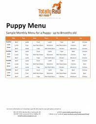 Knotty Dogs Golden Retriever Dogfooddelivery Dogtrainingschedule Raw Dog Food Recipes Raw Dog Food Diet Raw Feeding For Dogs