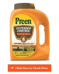 I'm not sure i'd call it invasive (quite a few people do), but it certainly gets around. Best Weed Killer Top 10 Safest Herbicides On The Market 2019 Reviews