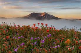 Mountain Photography Luxurious Fine Art Prints Jess Lee Photos