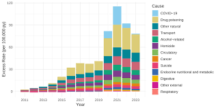 Image result for Mortality Statistics