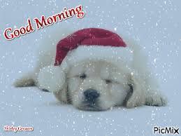 Snowy Good Morning Picmix The site offers many beautiful snow good morning gof image gifs for you to use anywhere you like. snowy good morning picmix