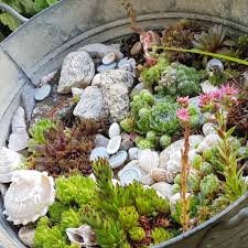 Zauberhafte Alte Wanne Sommerlieblinge Als Dekoration Fur Jede Terrasse Oder Garten Mit Wunderschonen Pflanzen Musch Amazing Gardens Garden Decor Garden